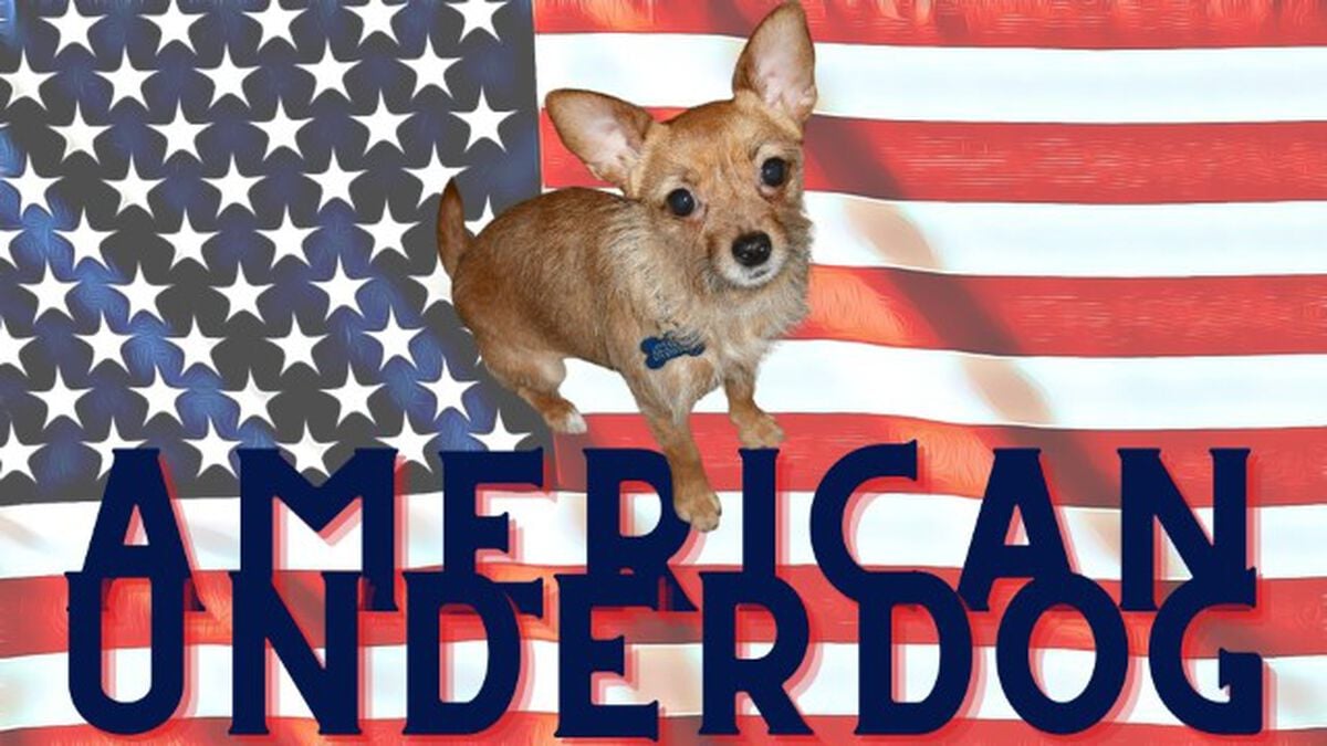 American Underdog image number null